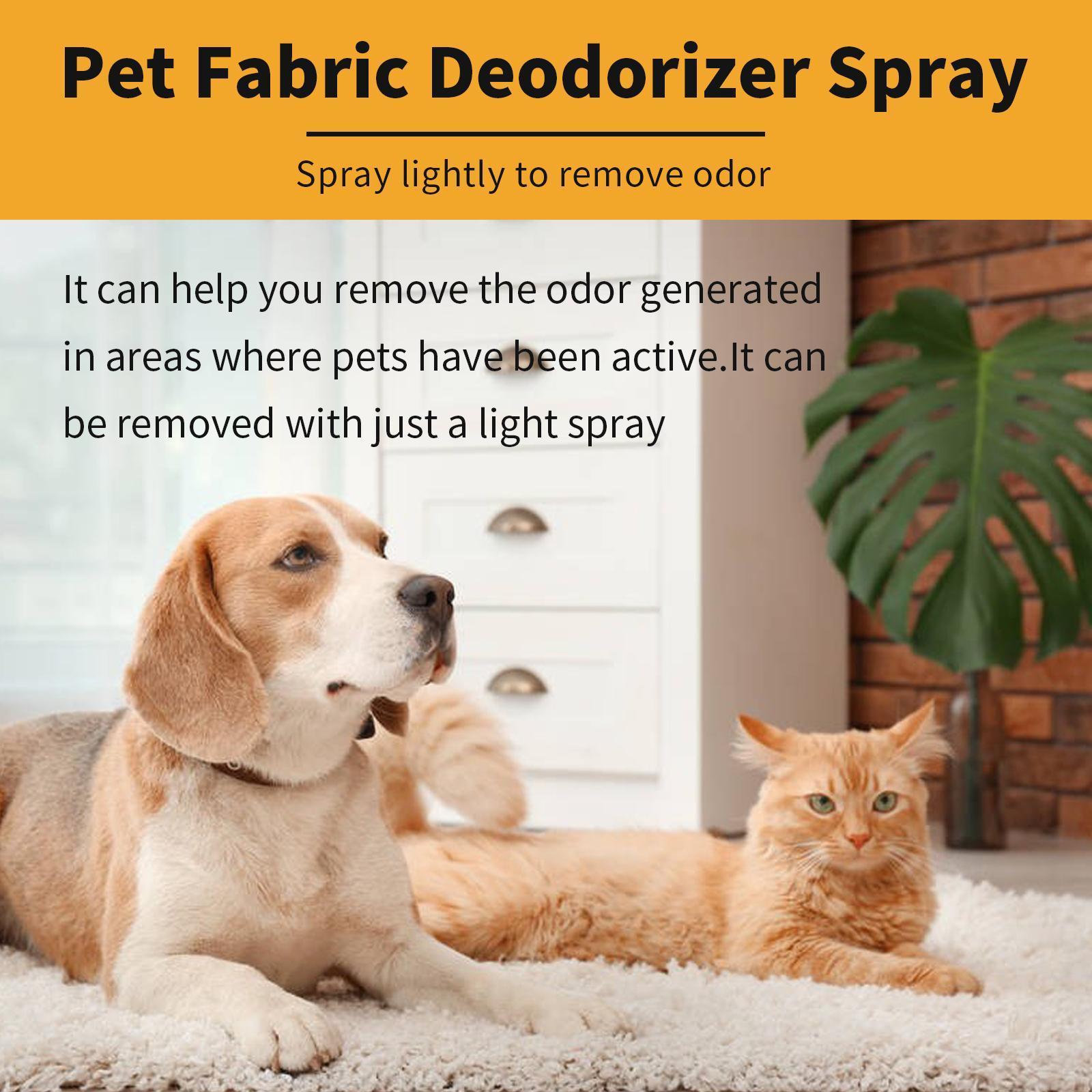 Breathe Easy – Pet-Safe Fabric & Air Deodorizer Spray!