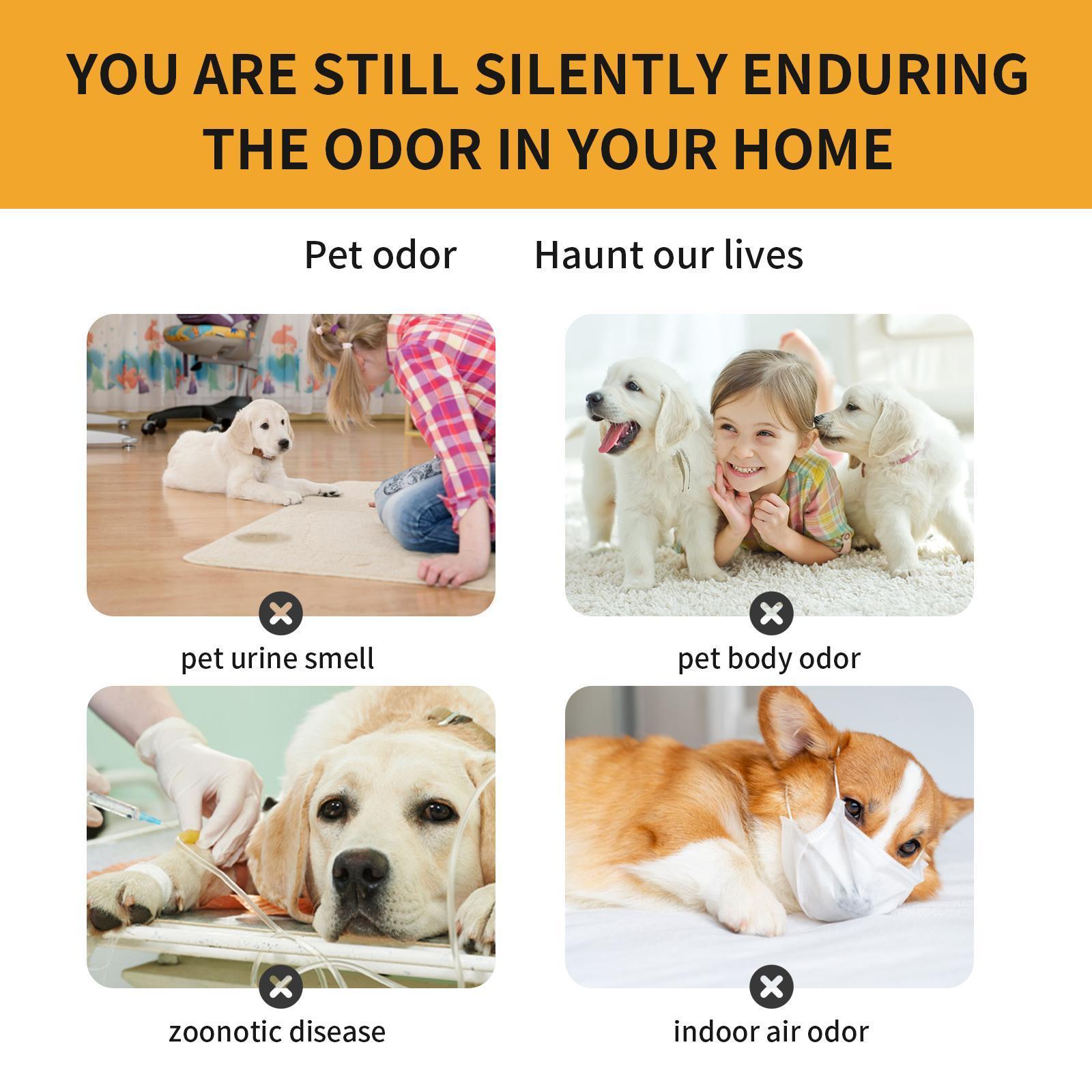 Breathe Easy – Pet-Safe Fabric & Air Deodorizer Spray!