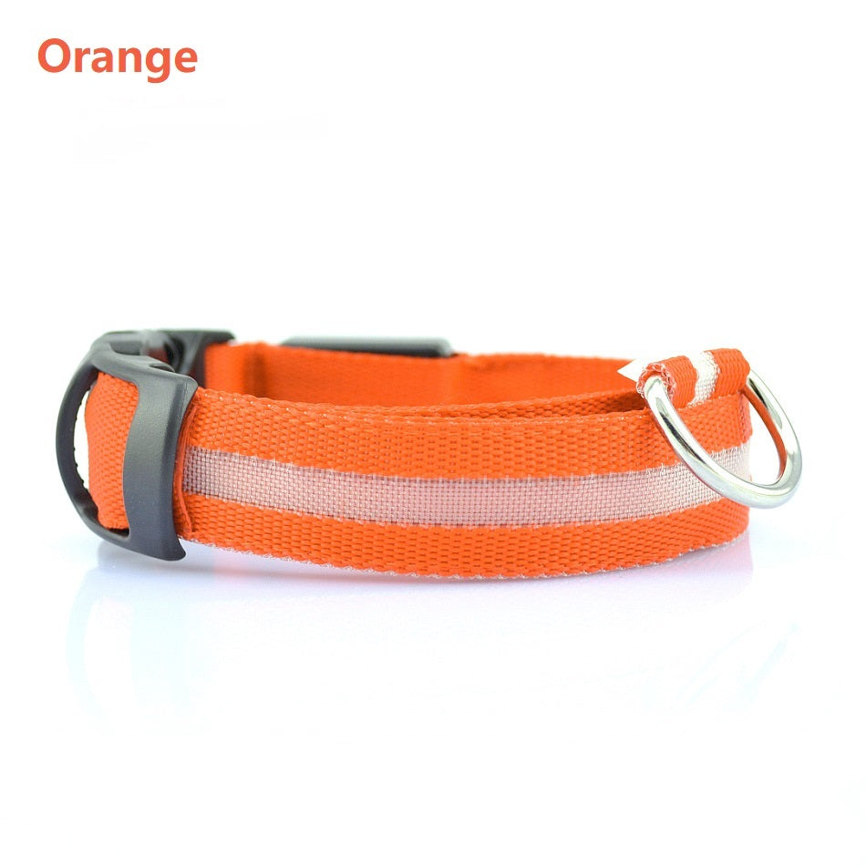 Light Up Every Walk – Safe & Stylish LED Dog Collar!
