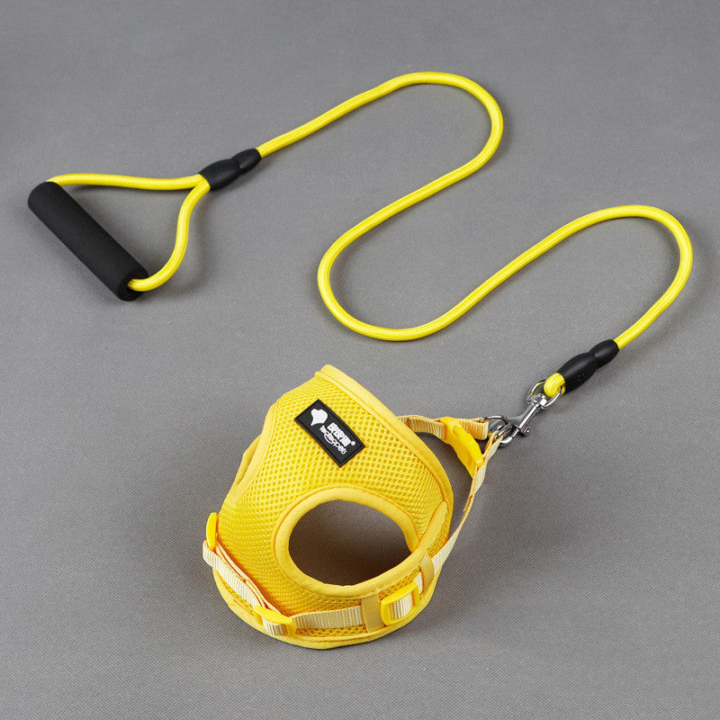 Walk in Style – Durable Dog Leash & Collar Set!