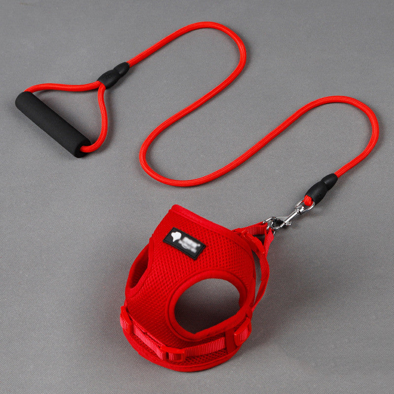 Walk in Style – Durable Dog Leash & Collar Set!