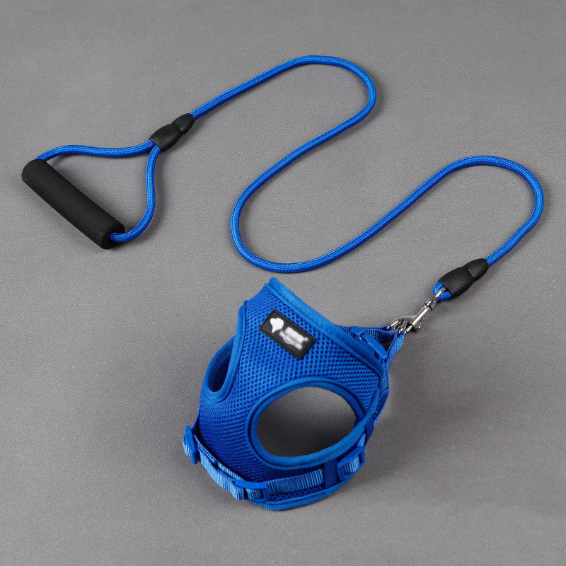 Walk in Style – Durable Dog Leash & Collar Set!
