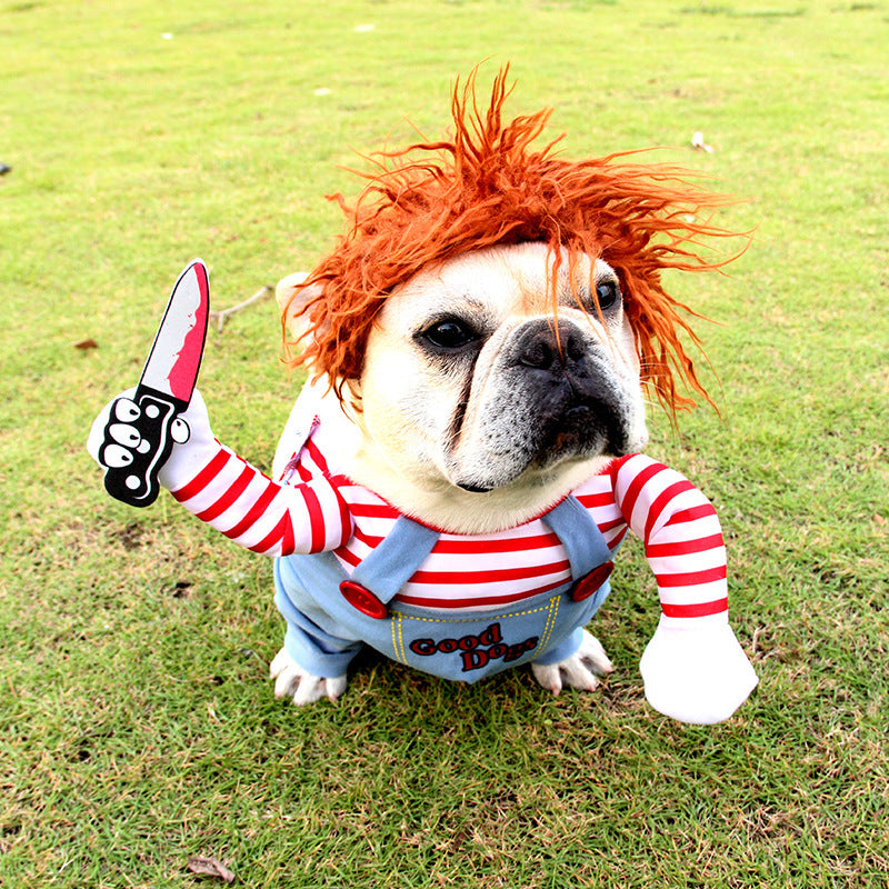 Spooky Paws Halloween Costume