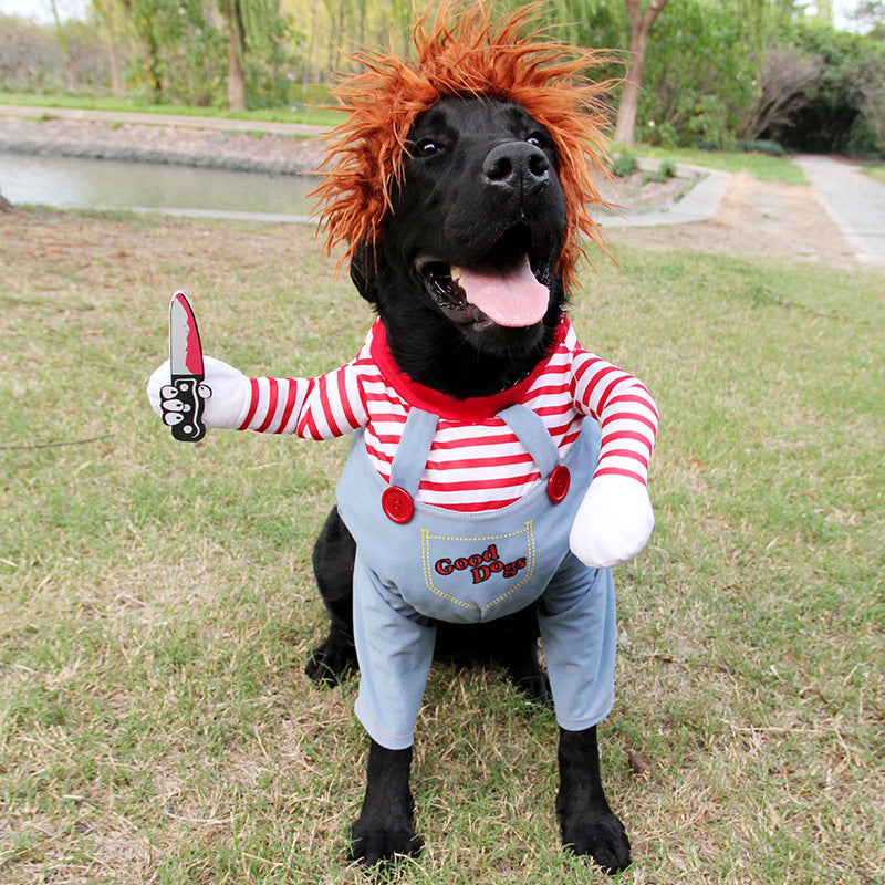 Spooky Paws Halloween Costume