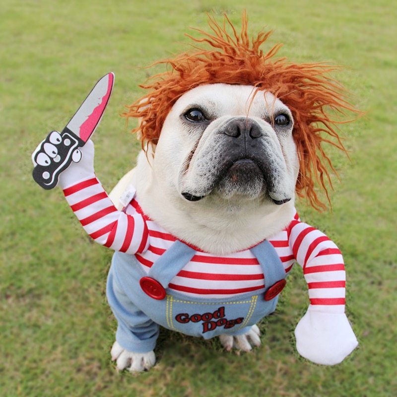 Spooky Paws Halloween Costume