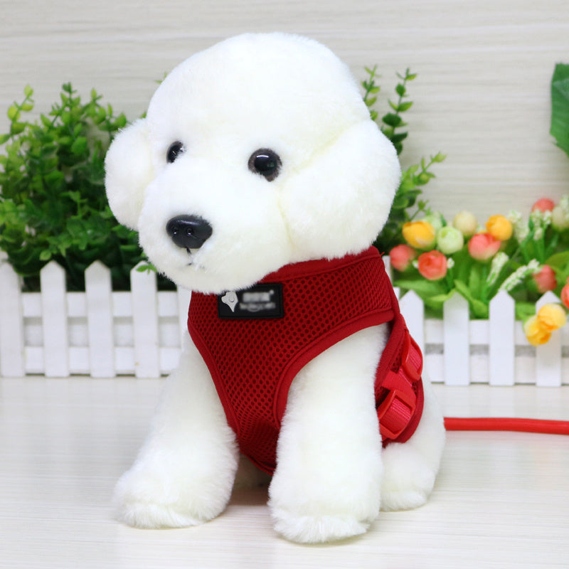 Walk in Style – Durable Dog Leash & Collar Set!