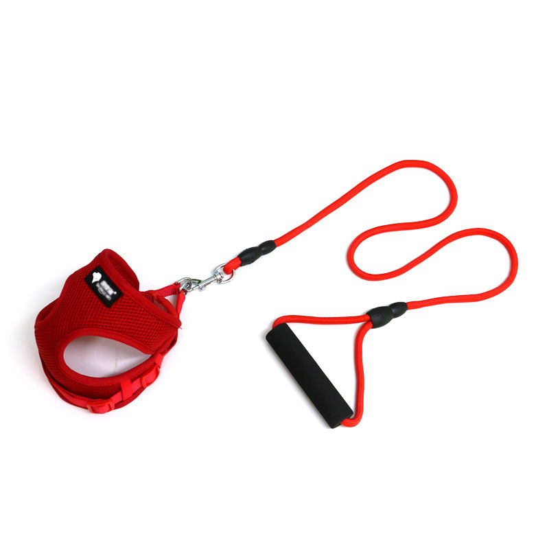 Walk in Style – Durable Dog Leash & Collar Set!