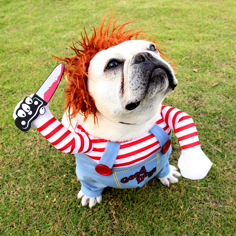 Spooky Paws Halloween Costume