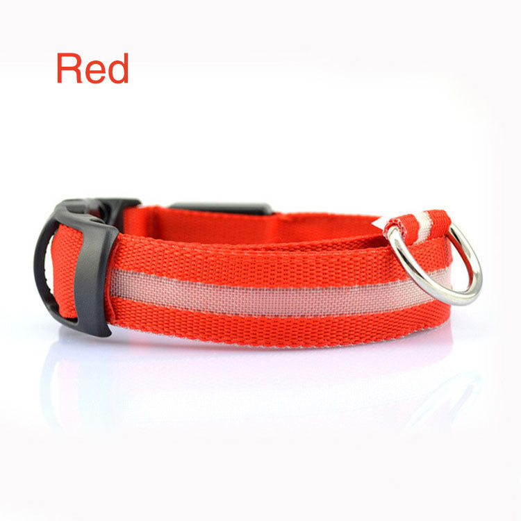 Light Up Every Walk – Safe & Stylish LED Dog Collar!
