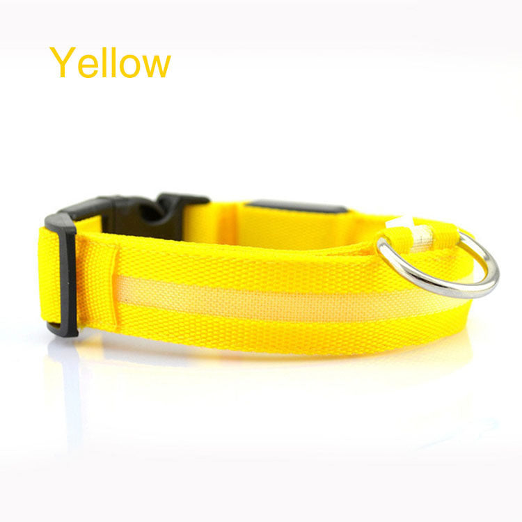 Light Up Every Walk – Safe & Stylish LED Dog Collar!