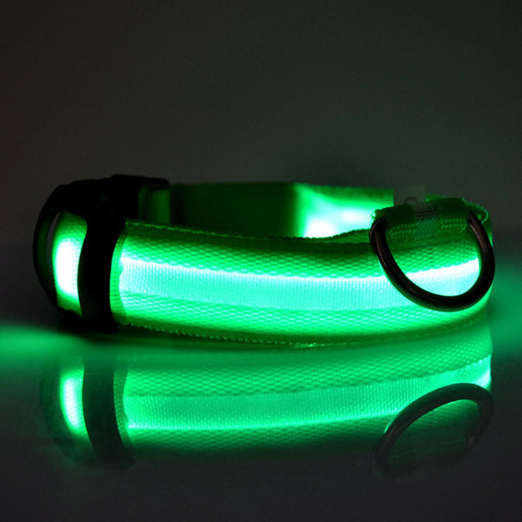 Light Up Every Walk – Safe & Stylish LED Dog Collar!