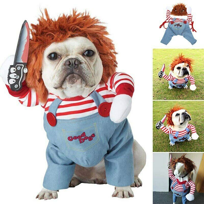 Spooky Paws Halloween Costume