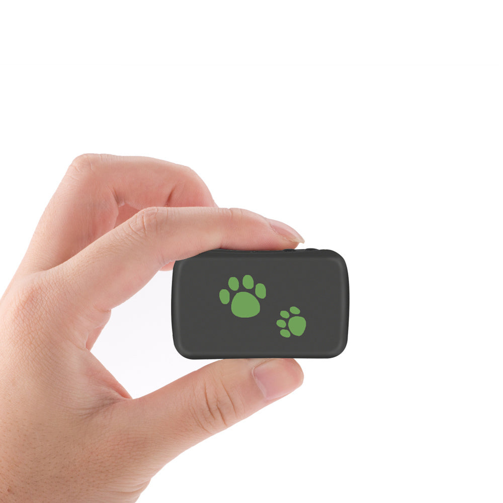Keep Your Pet Safe – Smart GPS Tracker Tag