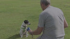 Interactive Pet Food Launcher