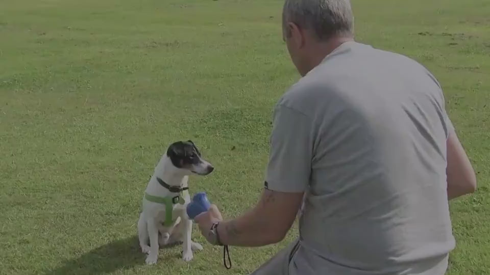 Interactive Pet Food Launcher